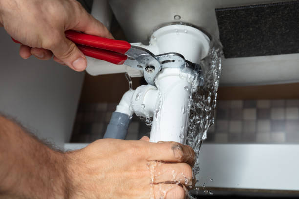 Best Water damage cleanup near me  in Williamston, NC
