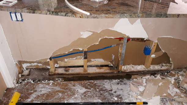 Best Ceiling water damage repair  in Williamston, NC