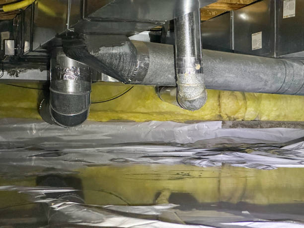 Best Commercial water damage restoration  in Williamston, NC