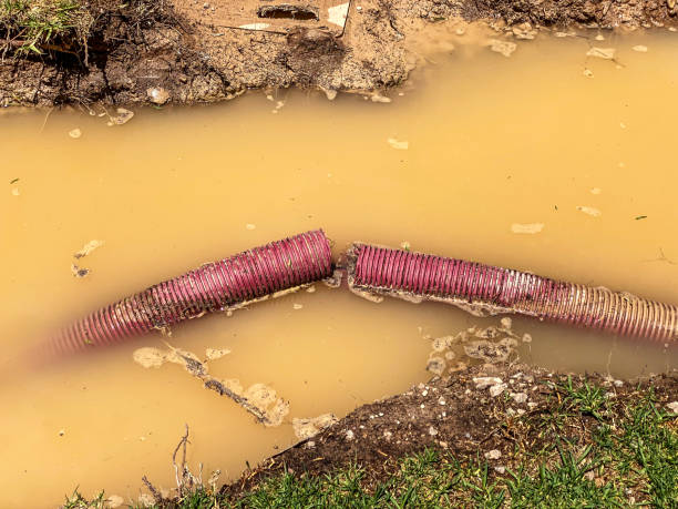 Best Residential water damage restoration  in Williamston, NC