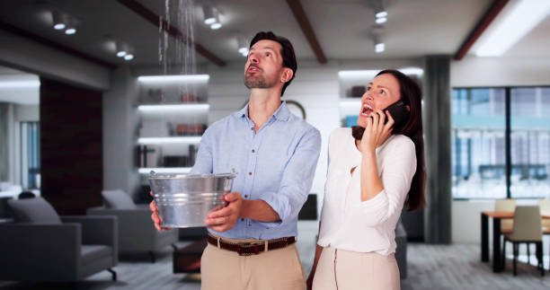 Water damage restoration mold remediation in NC