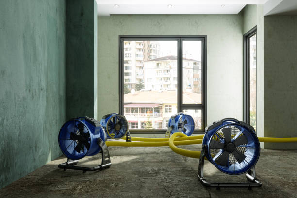 Best Flood restoration services  in Williamston, NC